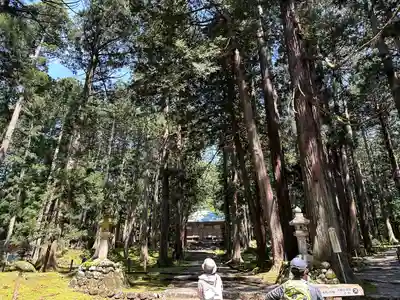 平泉寺白山神社(福井県)