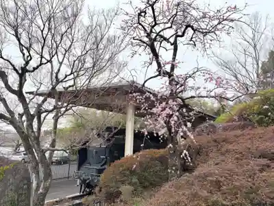 真龍寺(大阪府)