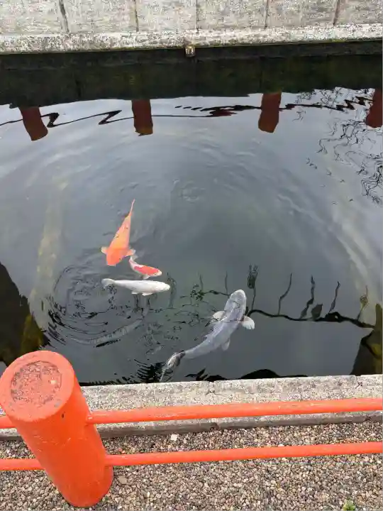 息栖神社(茨城県)