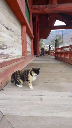 甲斐善光寺(山梨県)