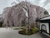 高台寺(高台寿聖禅寺・高臺寺)(京都府)