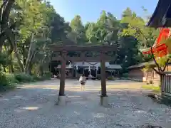 土佐神社(高知県)