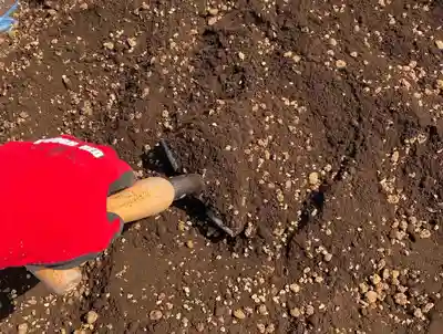 總社 和田八幡宮(福井県)