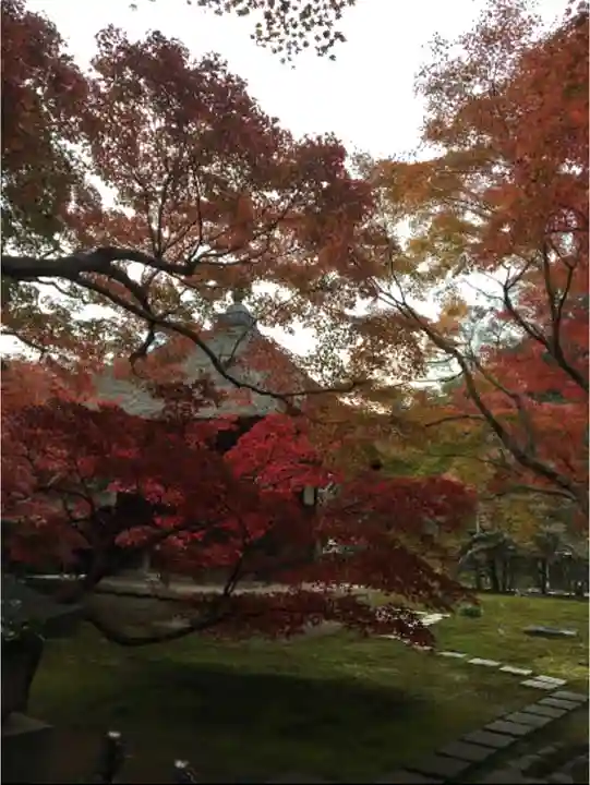 長壽寺(長寿寺)の自然