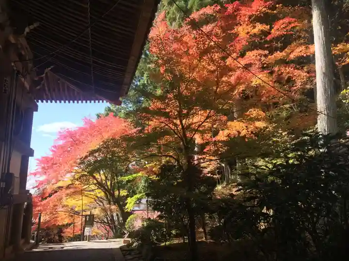 播州清水寺の自然