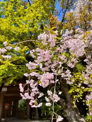 熱田神宮の自然
