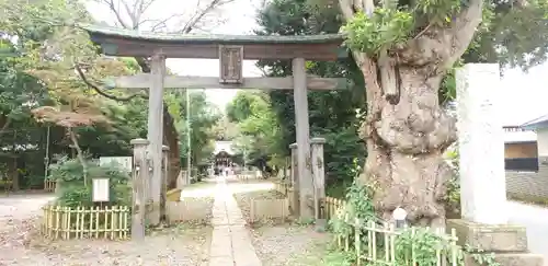 畑子安神社の鳥居