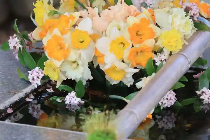 高司神社〜むすびの神の鎮まる社〜の手水舎