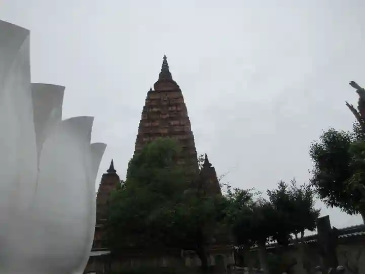 久留米分院(福岡県)