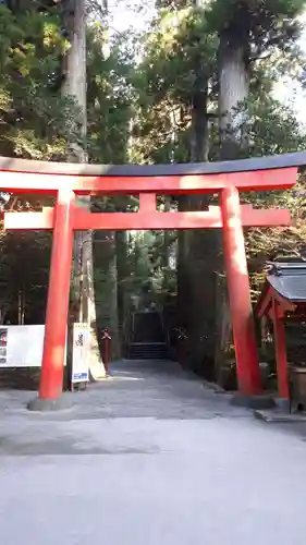 箱根神社の鳥居