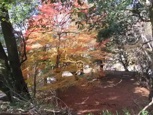 篠畑神社の自然