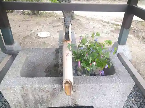 木華佐久耶比咩神社の手水舎