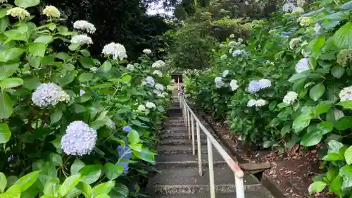 吉備津神社(岡山県)