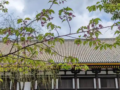 蓮華王院（三十三間堂）(京都府)