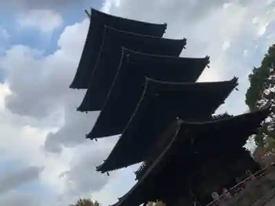 東寺(教王護国寺)の塔