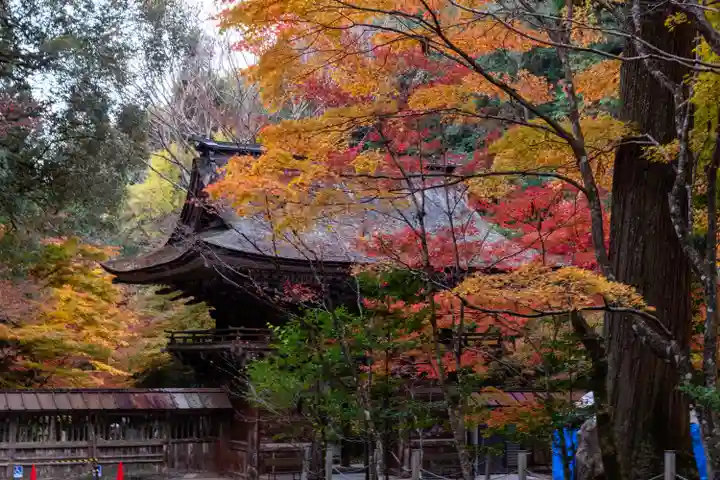 大矢田神社(岐阜県)