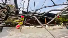 大報恩寺（千本釈迦堂）(京都府)