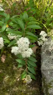 勝林寺(京都府)