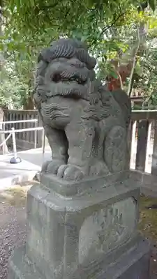 富岡八幡宮の狛犬