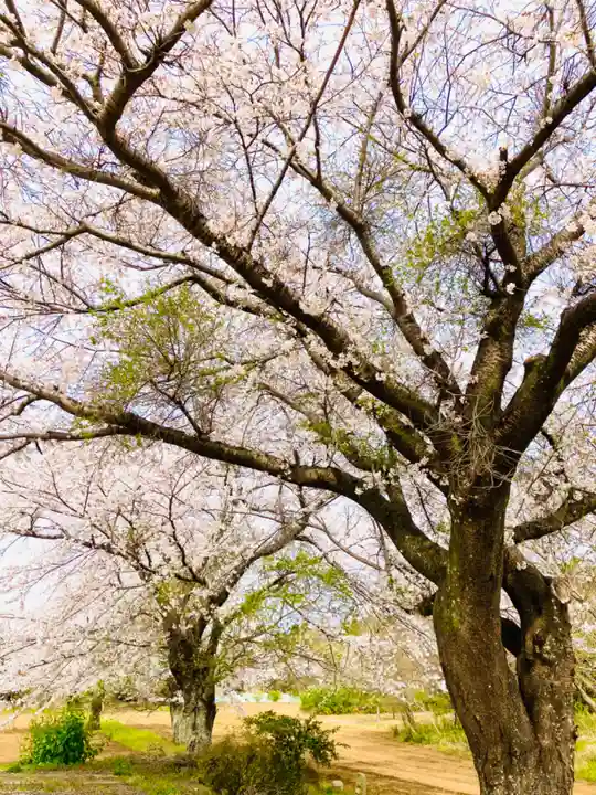 鹿嶋神社(茨城県)