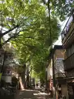 鬼子母神堂 (法明寺)の景色