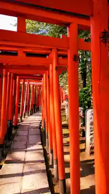 根津神社の鳥居