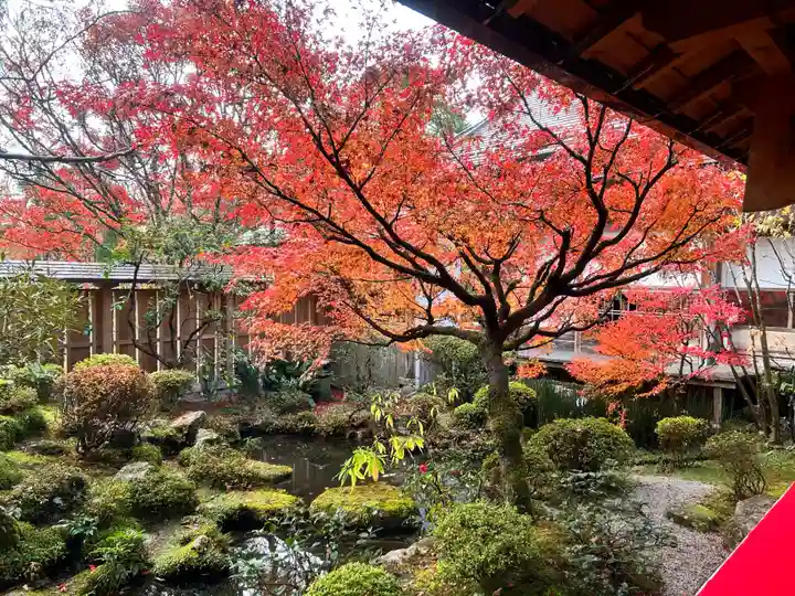 宝泉院(京都府)