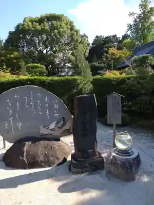 隨心院(随心院)(京都府)