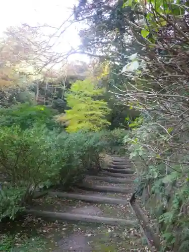 安國論寺（安国論寺）の庭園