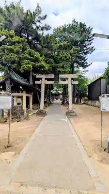 柴又八幡神社の鳥居