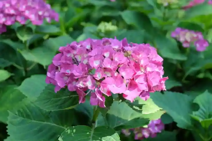 円覚寺(神奈川県)