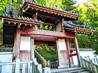達磨寺(群馬県)
