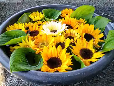 鹿島台神社の手水舎