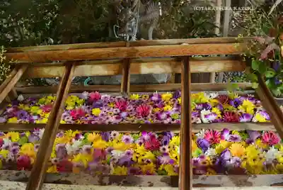 東京大神宮(東京都)