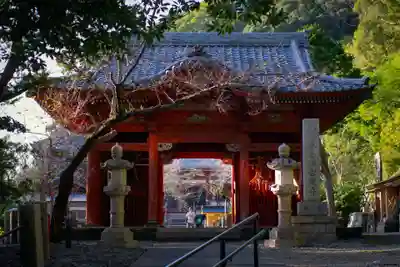 那古寺(千葉県)
