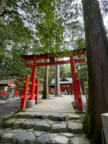 椿岸神社の鳥居