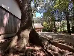 夜都伎神社(奈良県)