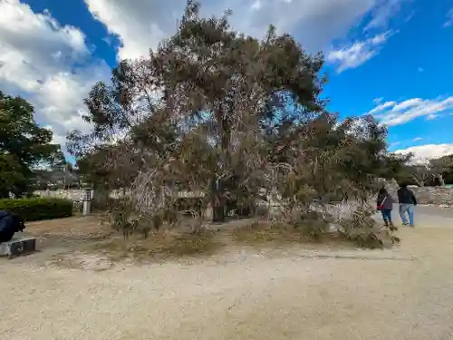 廣島護國神社(広島県)