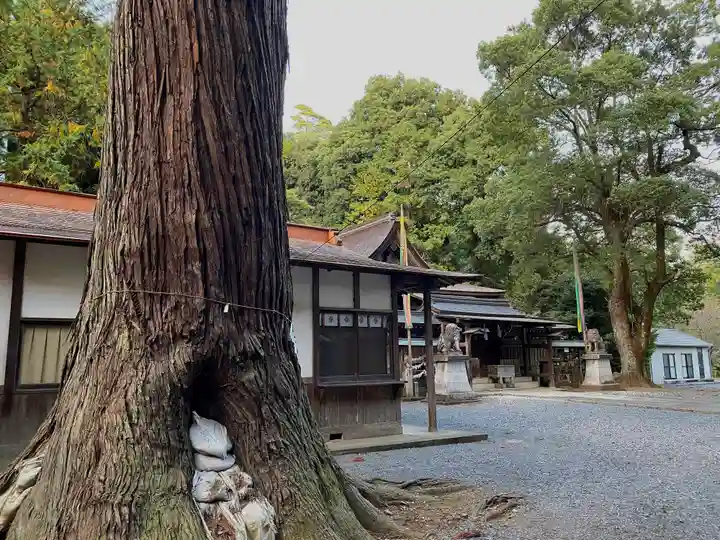 村檜神社(栃木県)