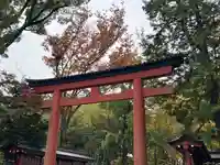武蔵一宮氷川神社(埼玉県)