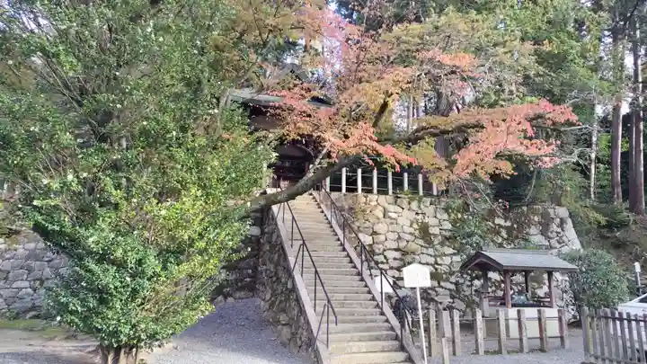 吉田神社(京都府)
