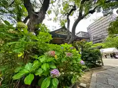 坐摩神社(大阪府)