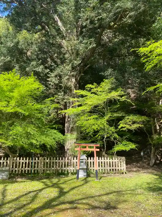 金剛院(京都府)