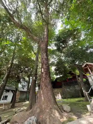 金王八幡宮(東京都)