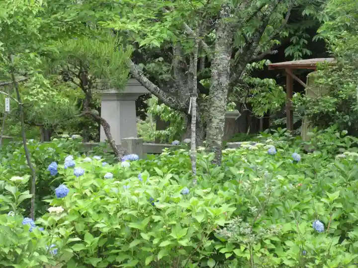 茨城縣護國神社(茨城県)