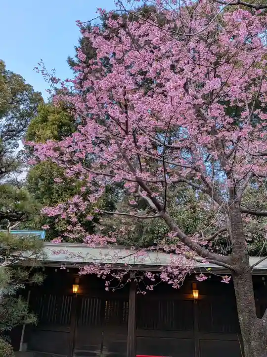 代々木八幡宮(東京都)