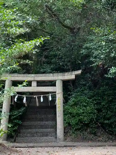 佐野八幡神社の鳥居