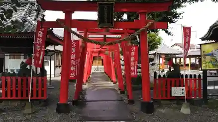 於菊稲荷神社の鳥居