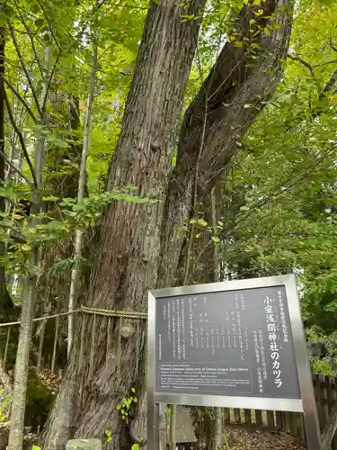 小室浅間神社(山梨県)