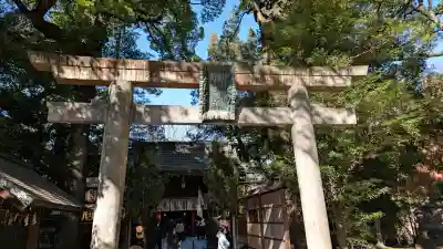 赤坂氷川神社の{uncategorized: "未分類", other: "その他", undefined: "問題あり", building: "その他建物", grave: "お墓", sacred_gate: "鳥居", guardian: "狛犬", statue: "像", buddha: "仏像", history: "歴史", nature: "自然", garden: "庭園", animal: "動物", pagoda: "塔", temizu: "手水舎", mountain_gate: "山門・神門", sanctuary: "本殿・本堂", subordinate: "末社・摂社", art: "芸術", scenery: "景色", jizo: "地蔵", ema: "絵馬", goshuin: "御朱印", omikuji: "おみくじ", items: "授与品その他", amulet: "お守り", goshuincho: "御朱印帳", eats: "食事", festival: "お祭り", votive_dance: "神楽", shichigosan: "七五三参", wedding: "結婚式", experience: "体験その他", initially: "初詣", around: "周辺", anti_infection: "感染症対策"}